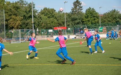 TSV sichtet für den Jahrgang 2011